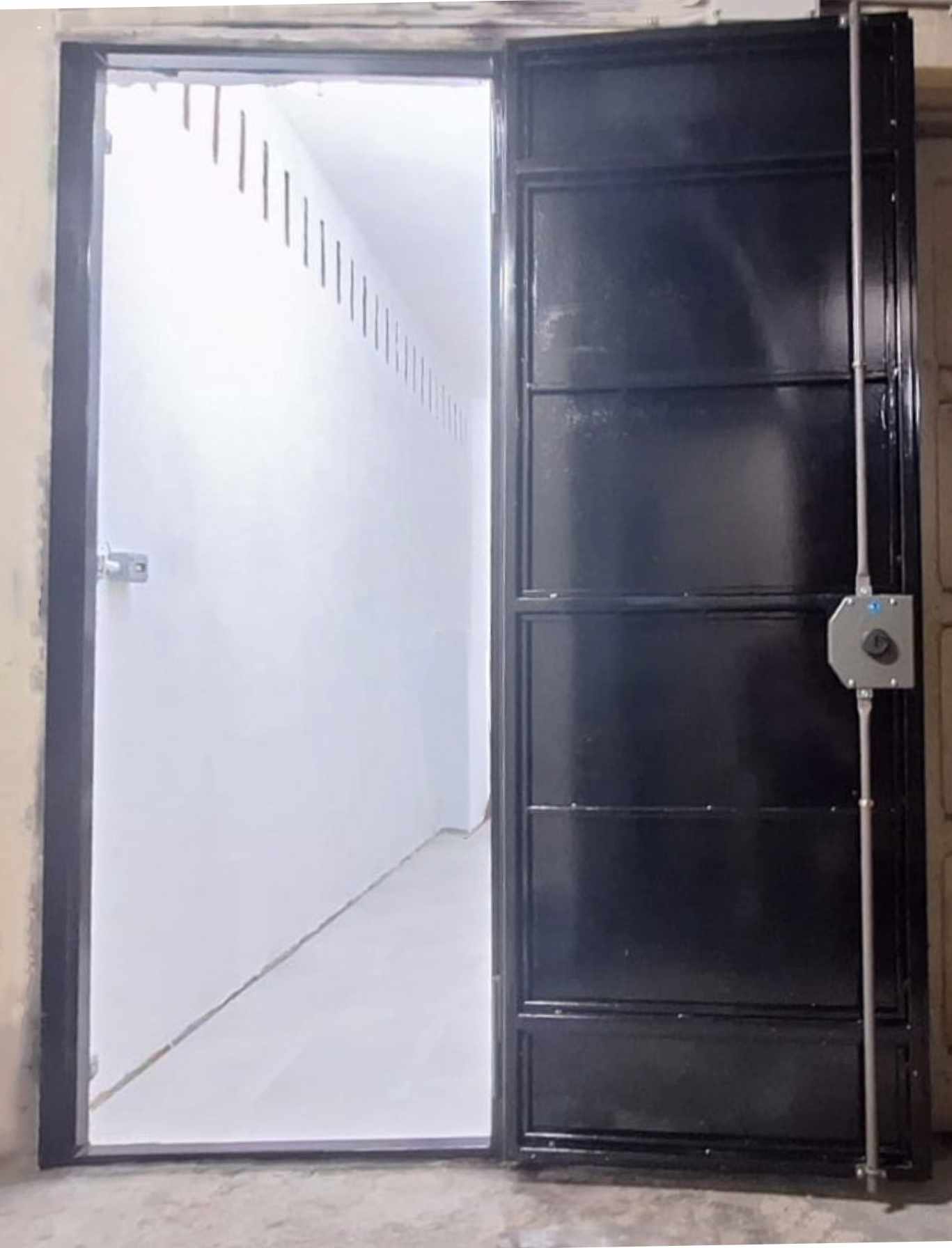 porta in ferro